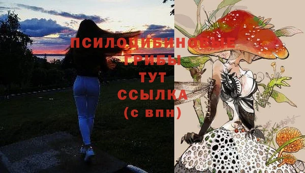 ECSTASY Алексин