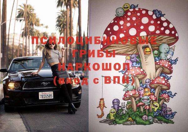 ПСИЛОЦИБИНОВЫЕ ГРИБЫ Алзамай