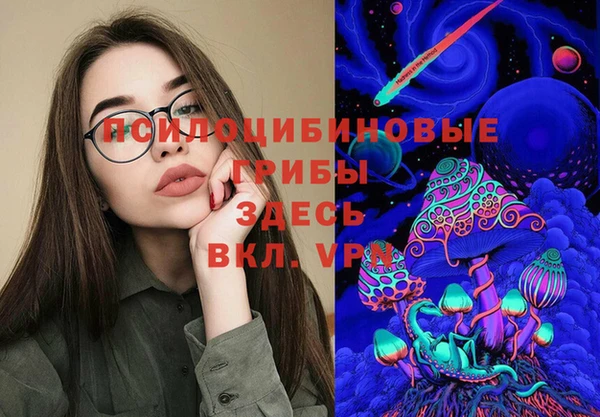 ПСИЛОЦИБИНОВЫЕ ГРИБЫ Алзамай