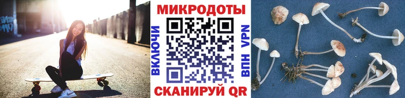 гидра сайт  Могоча  Псилоцибиновые грибы Psilocybine cubensis 